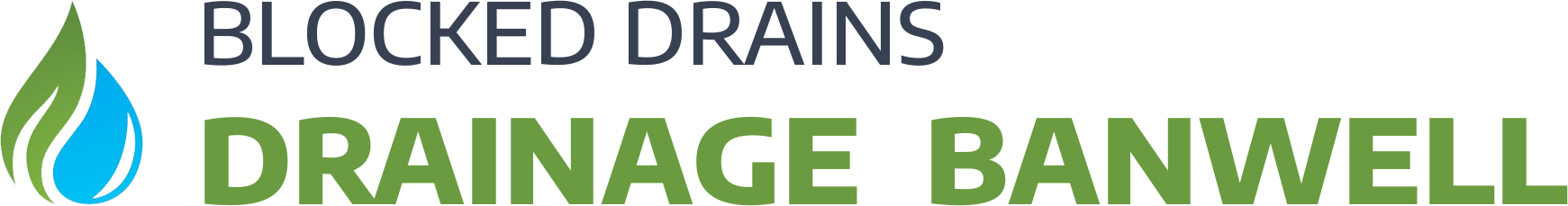 website logo